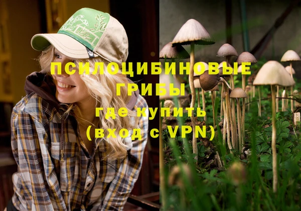 PSILOCYBIN Белоозёрский